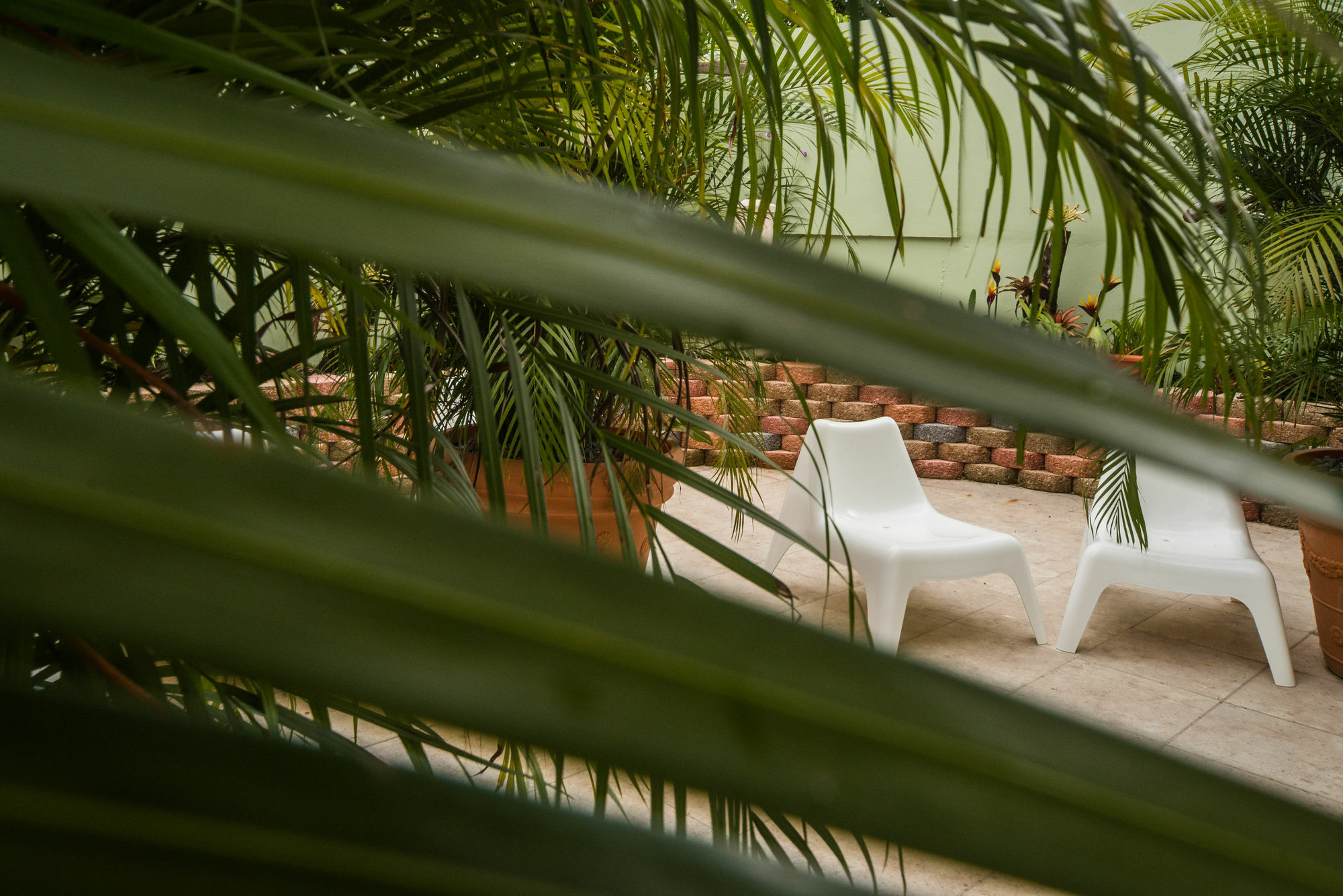 Rincon Plaza Hotel Dış mekan fotoğraf